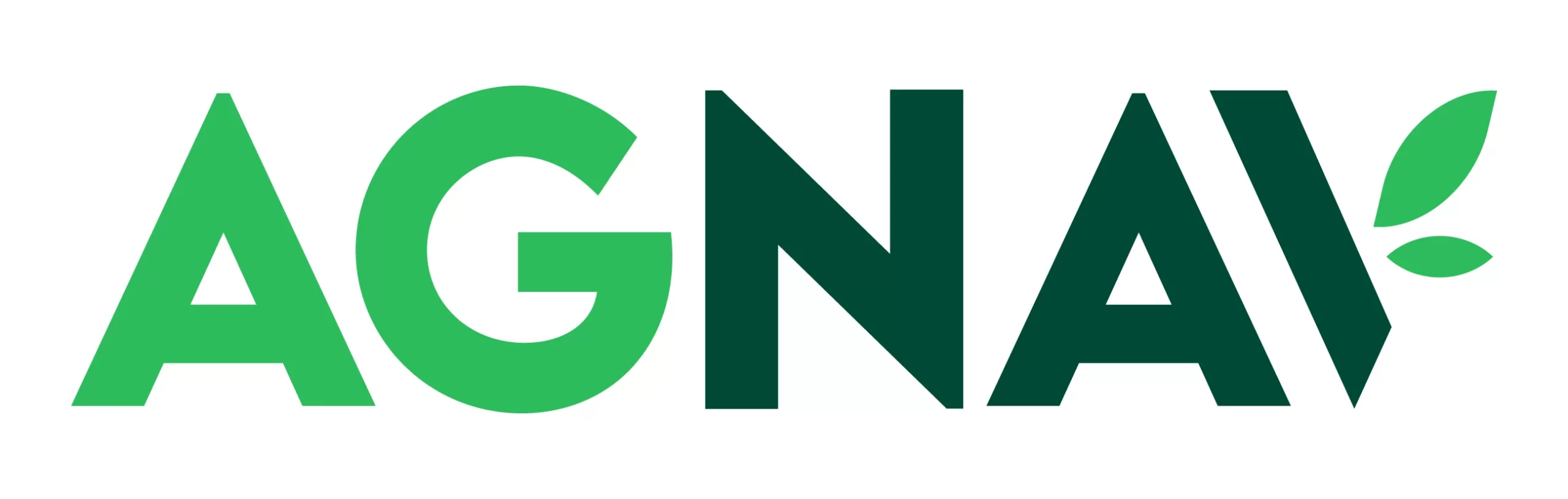 AgNav